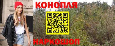 дмт Будённовск